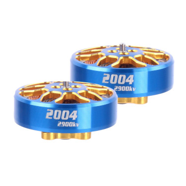 Skystars Koko 2004 2900Kv (2pcs)