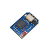 FlyingRC ELRS 2.4G True Diversity TCXO