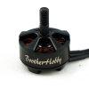 BrotherHobby Returner R3 2206 1720KV